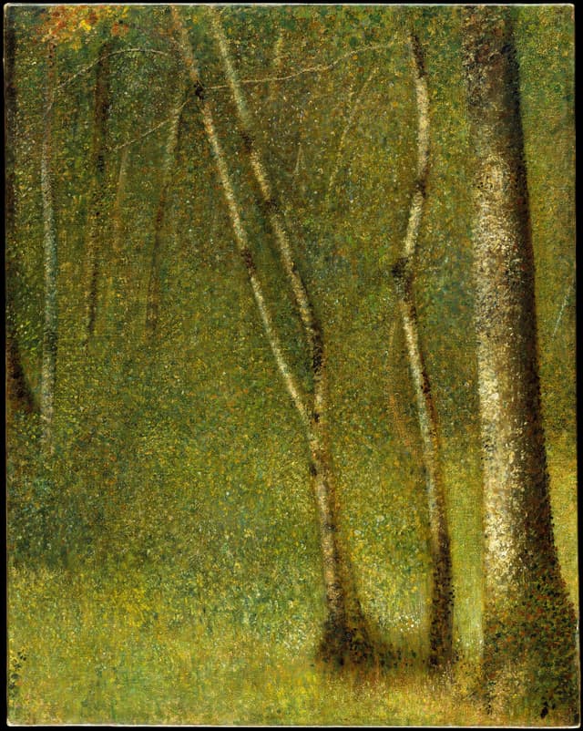 Feature detail